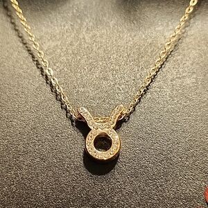 Dainty Taurus Necklace